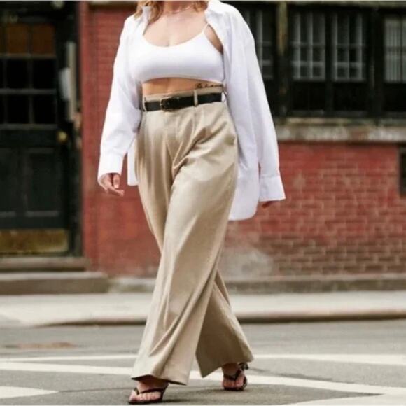ABERCROMBIE & FITCH Tailored Wide Leg Pant Heathered Taupe Khaki Tan Sz L {3W33} - Picture 1 of 8